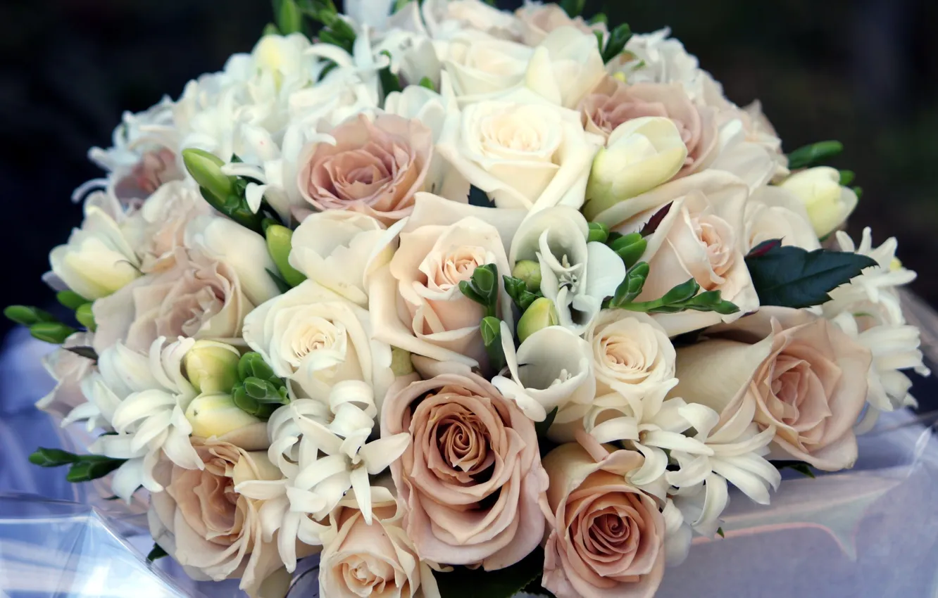 Фото обои цветы, розы, букет, композиция, фрезии