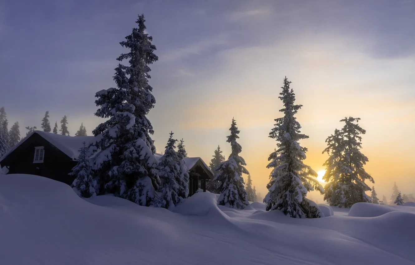 Фото обои зима, небо, снег, природа, дом, рассвет, елки, утро