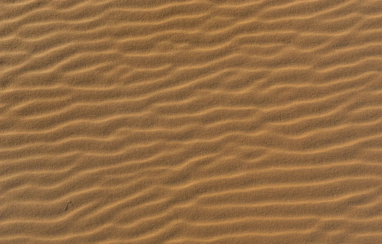 Фото обои пляж, пустыня, Песок, текстура, песчинки