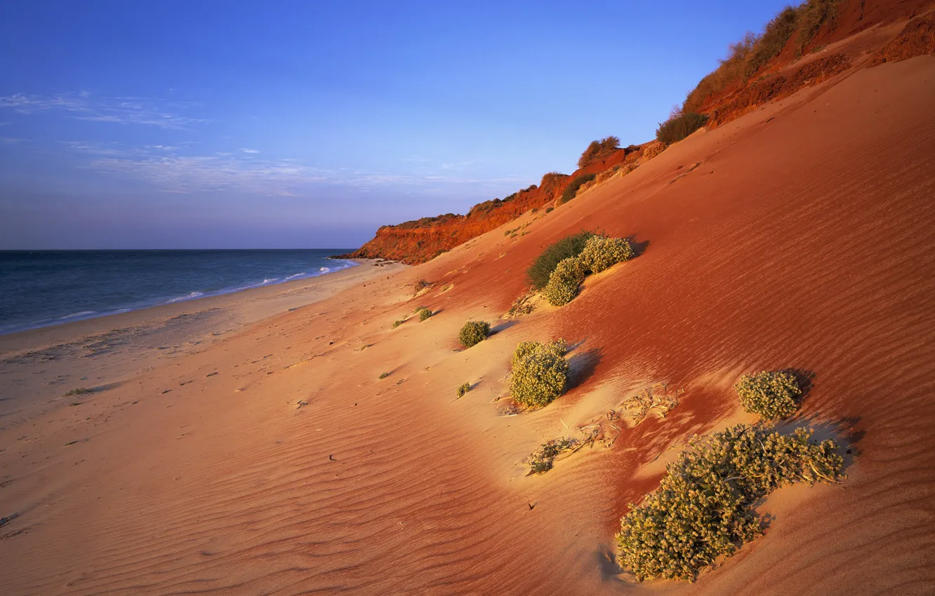 Фото обои песок, океан, склон