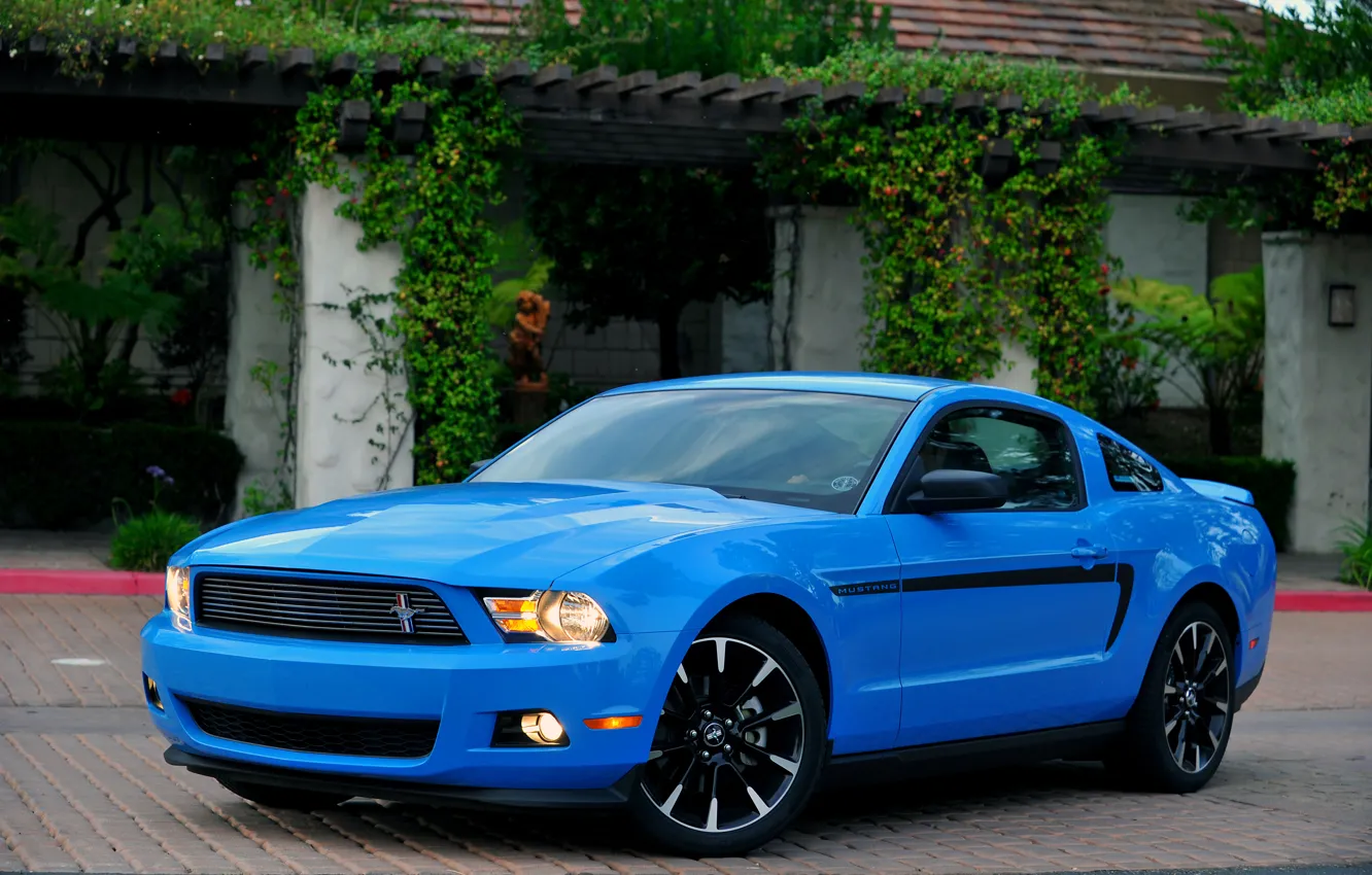 Фото обои Mustang, Ford, мустанг, 2012, форд