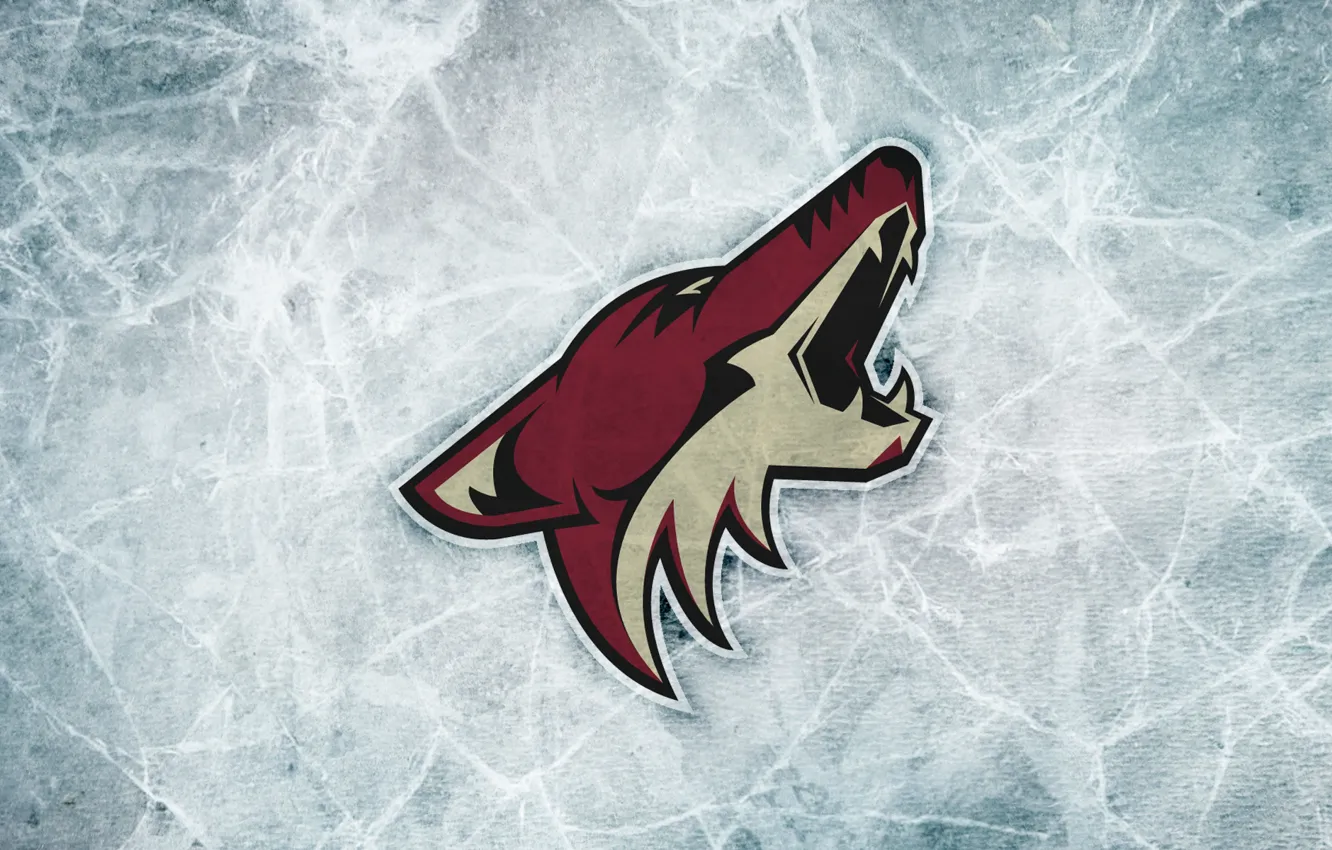 Фото обои лед, спорт, логотип, НХЛ, хоккейный клуб, Arizona Coyotes, Аризона Койотиз, Аризона Койотс