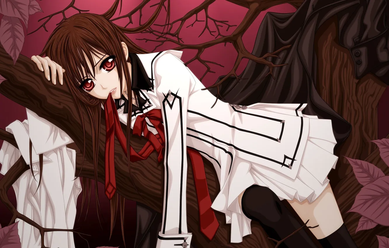 Фото обои девушка, дерево, ветка, арт, вампир, форма, лежа, vampire knight