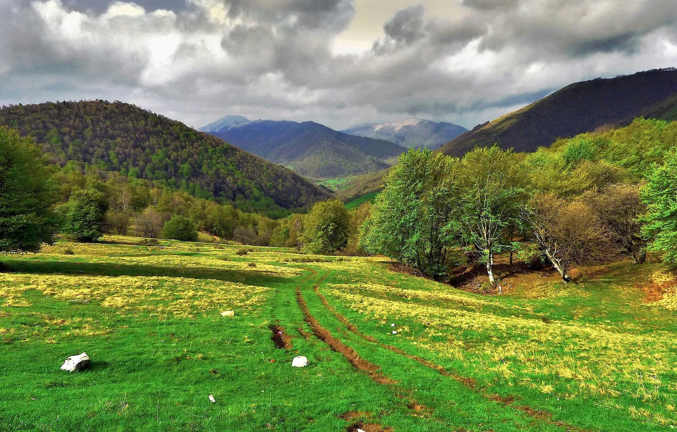 Фото обои трава, деревья, горы, Италия, Ломбардия