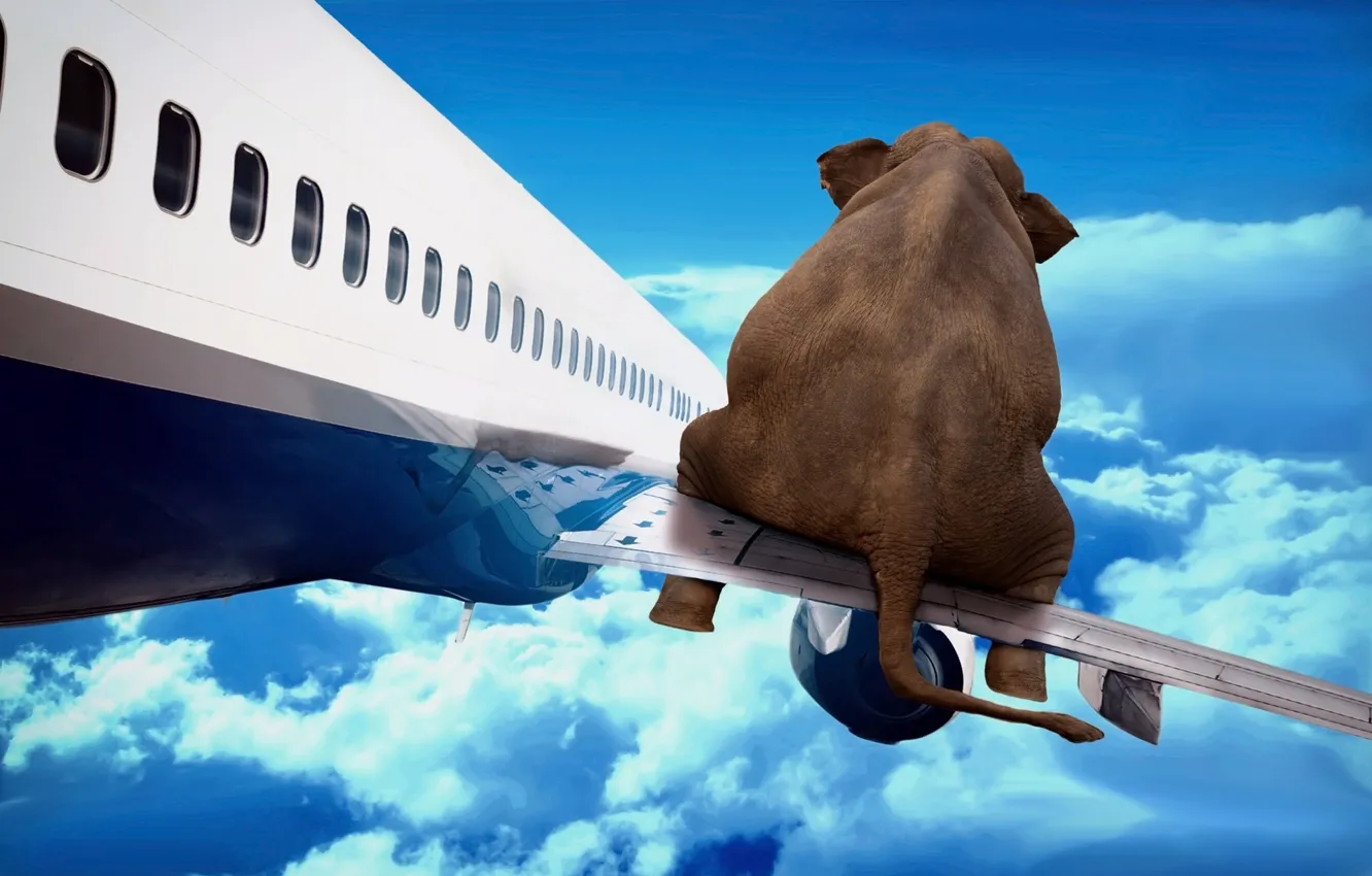 Фото обои небо, полет, самолет, слон, крыло, арт