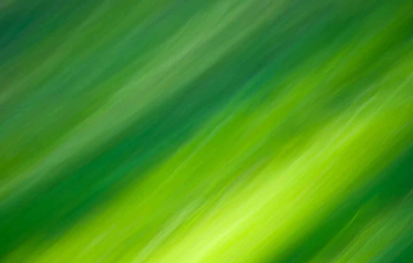 Фото обои цвета, линии, Зеленый