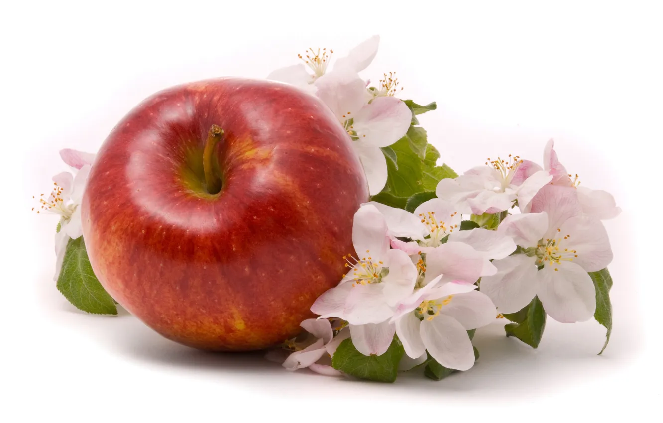 Фото обои цветы, яблоко, фрукт