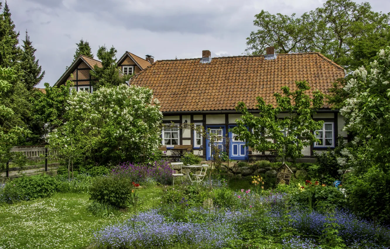 Фото обои трава, деревья, цветы, дом, Германия, сад, кусты, Hitzacker