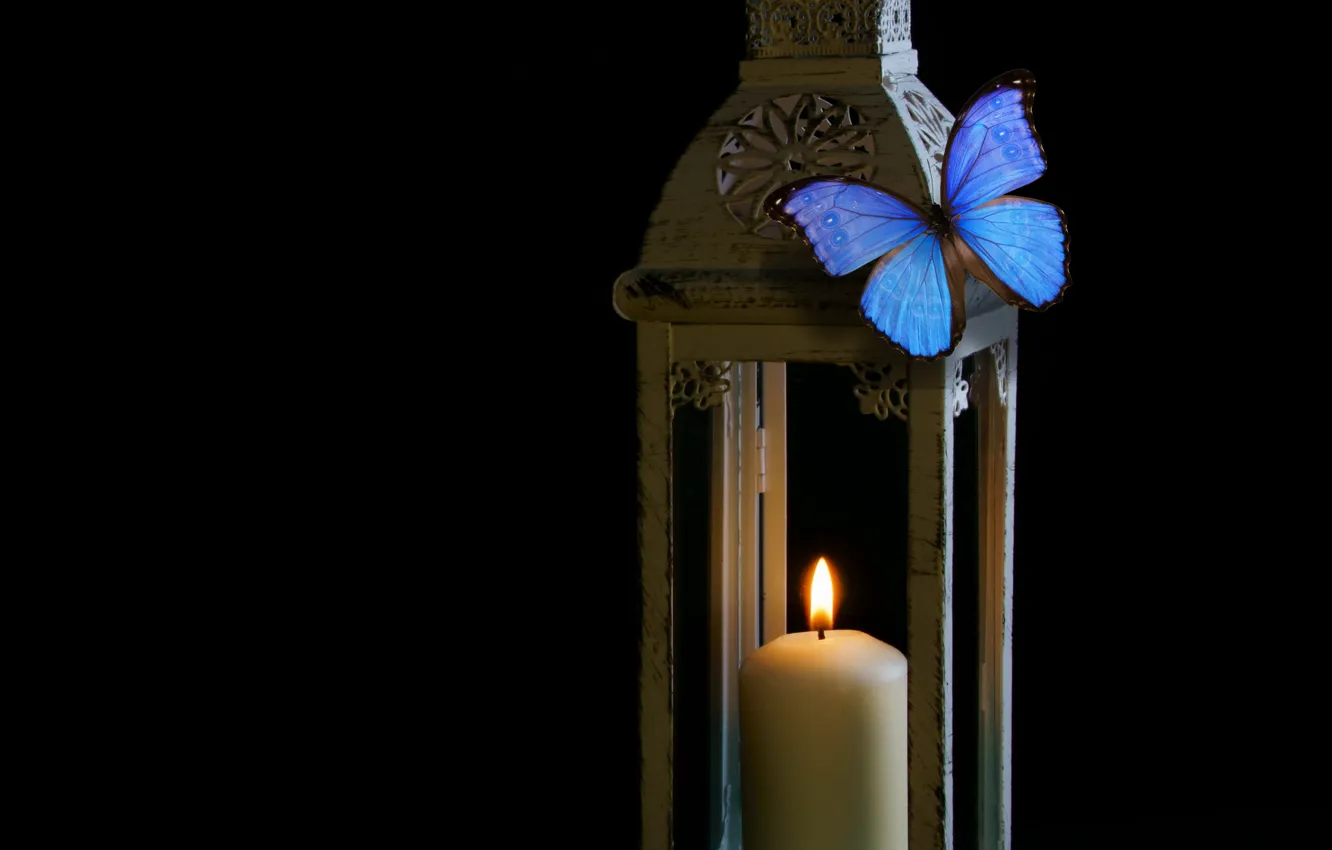 Фото обои light, candle, shadow and light, lamptern