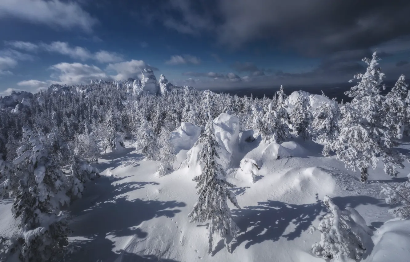 Фото обои зима, снег, деревья, пейзаж, природа, скала, камни, гора