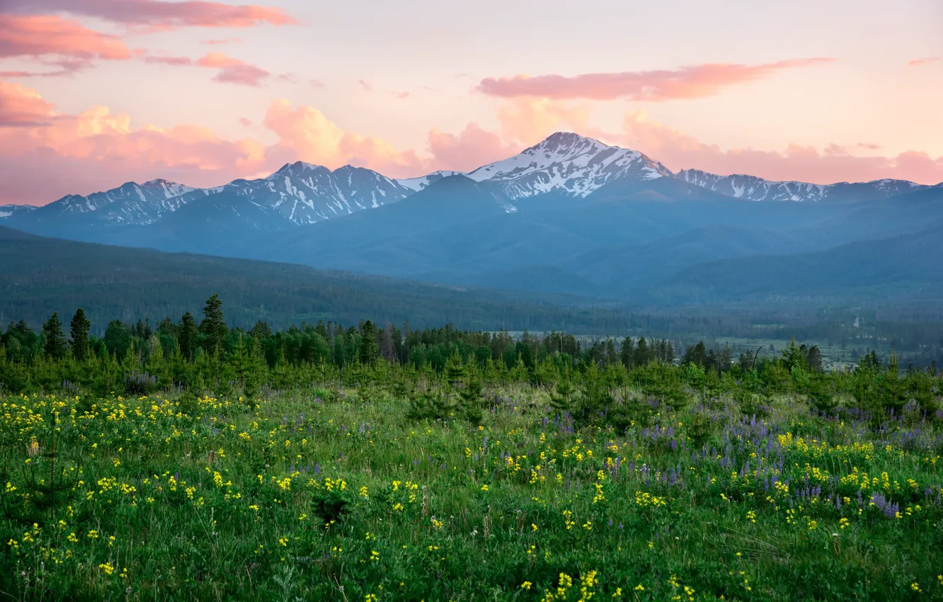 Фото обои цветы, горы, утро, луг, Colorado, Rocky Mountains