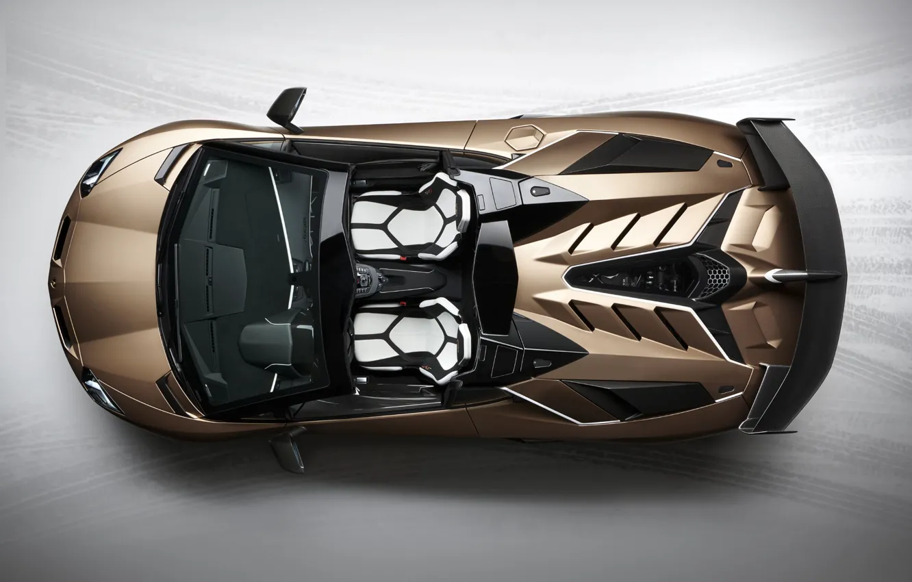 Фото обои Суперкар, Итальянский, 2019, Lamborghini Aventador S Roadster