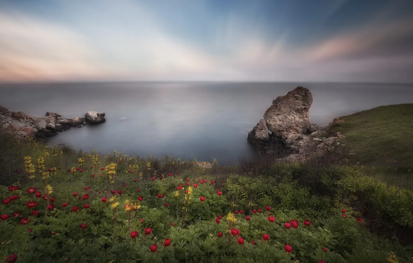 Фото обои море, пейзаж, цветы, скалы, красота