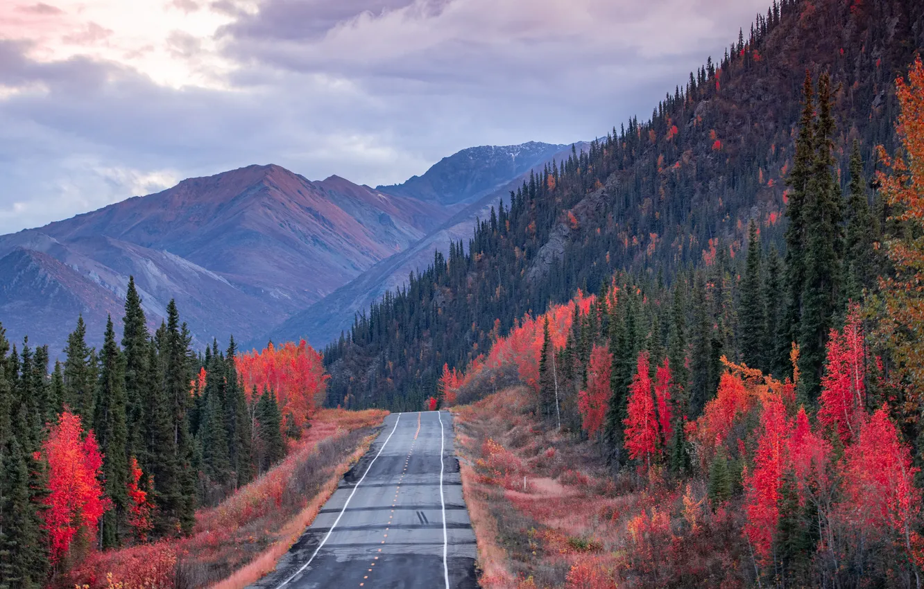 Фото обои дорога, осень, лес, небо, облака, горы, склоны, вершины