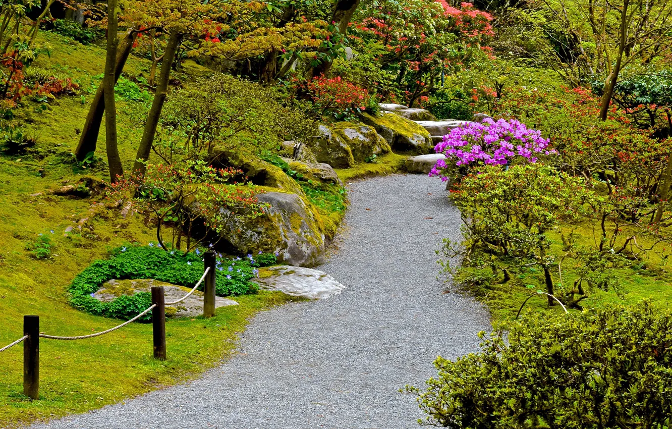 Фото обои зелень, деревья, цветы, камни, мох, сад, дорожка, Сиэтл