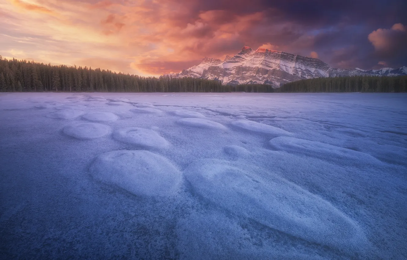 Фото обои лед, зима, снег, озеро, берег