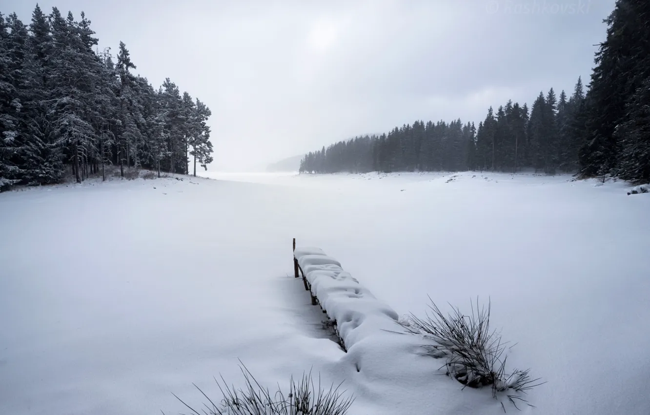 Фото обои зима, снег, туман