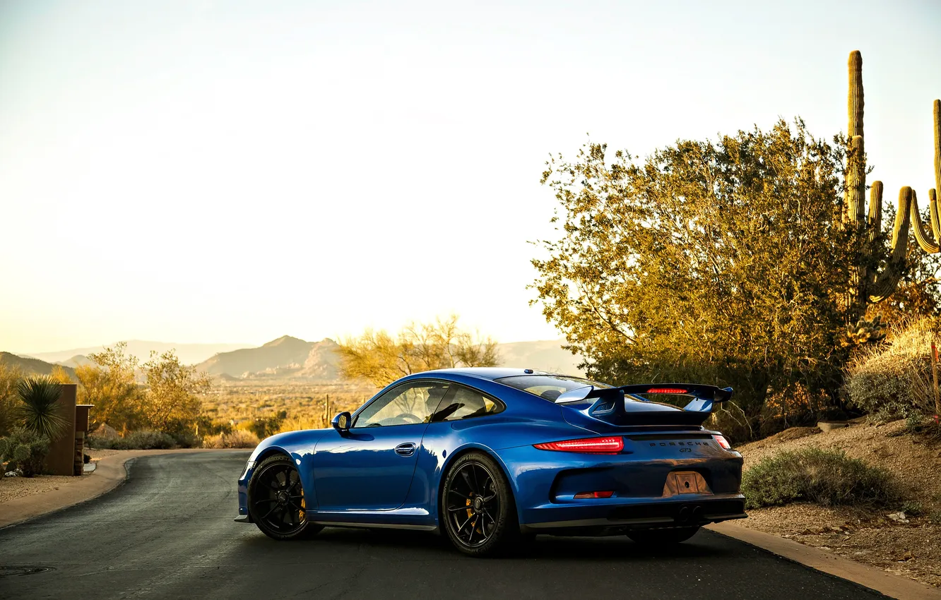 Фото обои Синий, Porsche, Автомобили, Black Edition, 2013, Сзади, Металлик, Gemballa Mirage