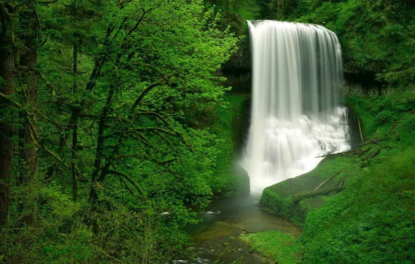 Фото обои лес, водопад, USA, США, Oregon