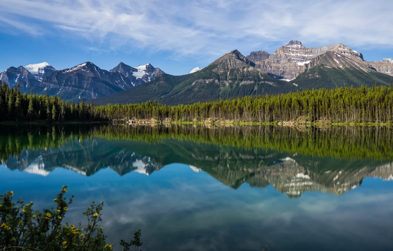 Фото обои лес, горы, озеро, отражение, Канада, Альберта, Banff National Park, Alberta