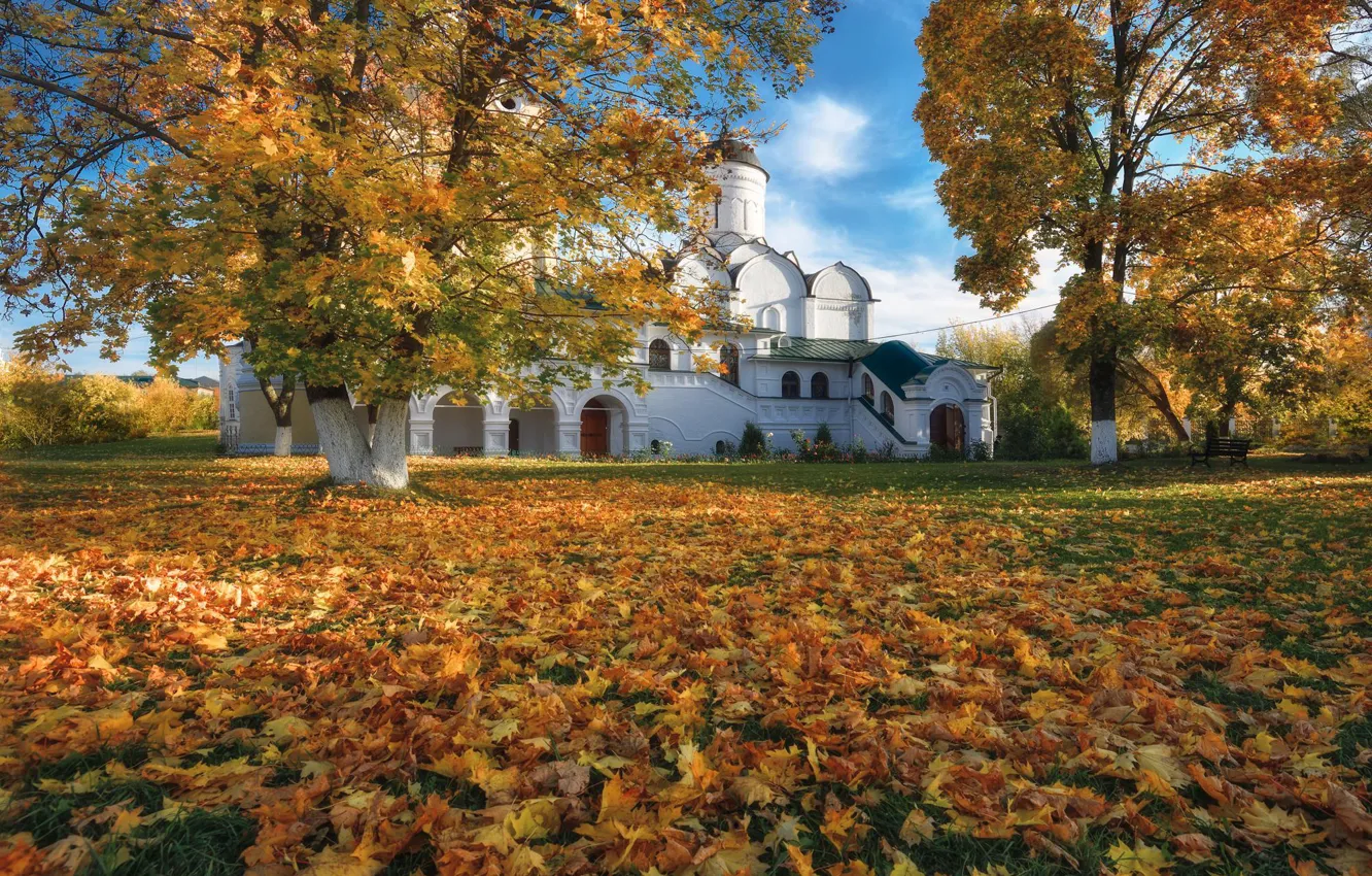 Фото обои осень, деревья, пейзаж, Киржач, Благовещенский монастырь