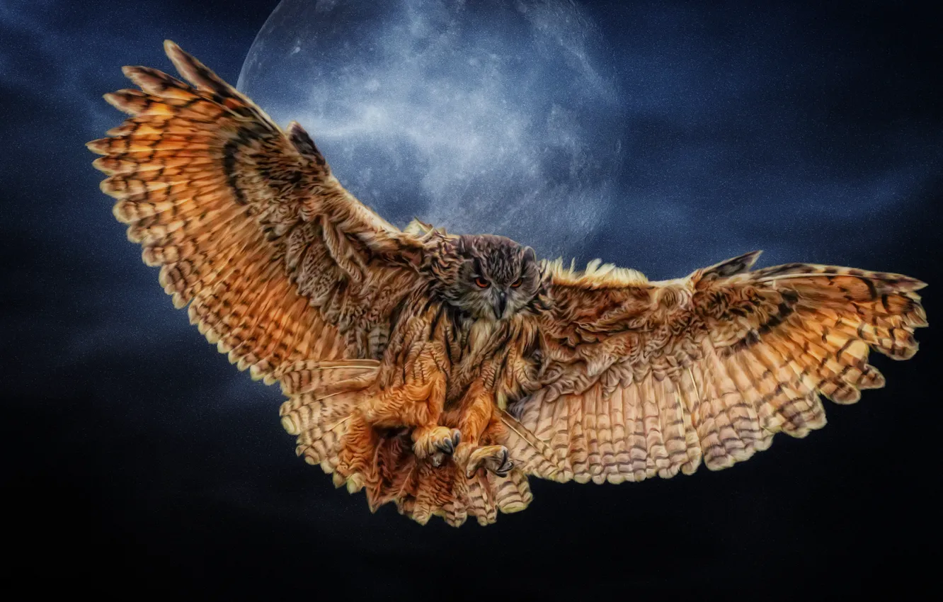 Фото обои сова, крылья, Луна, Photoshop