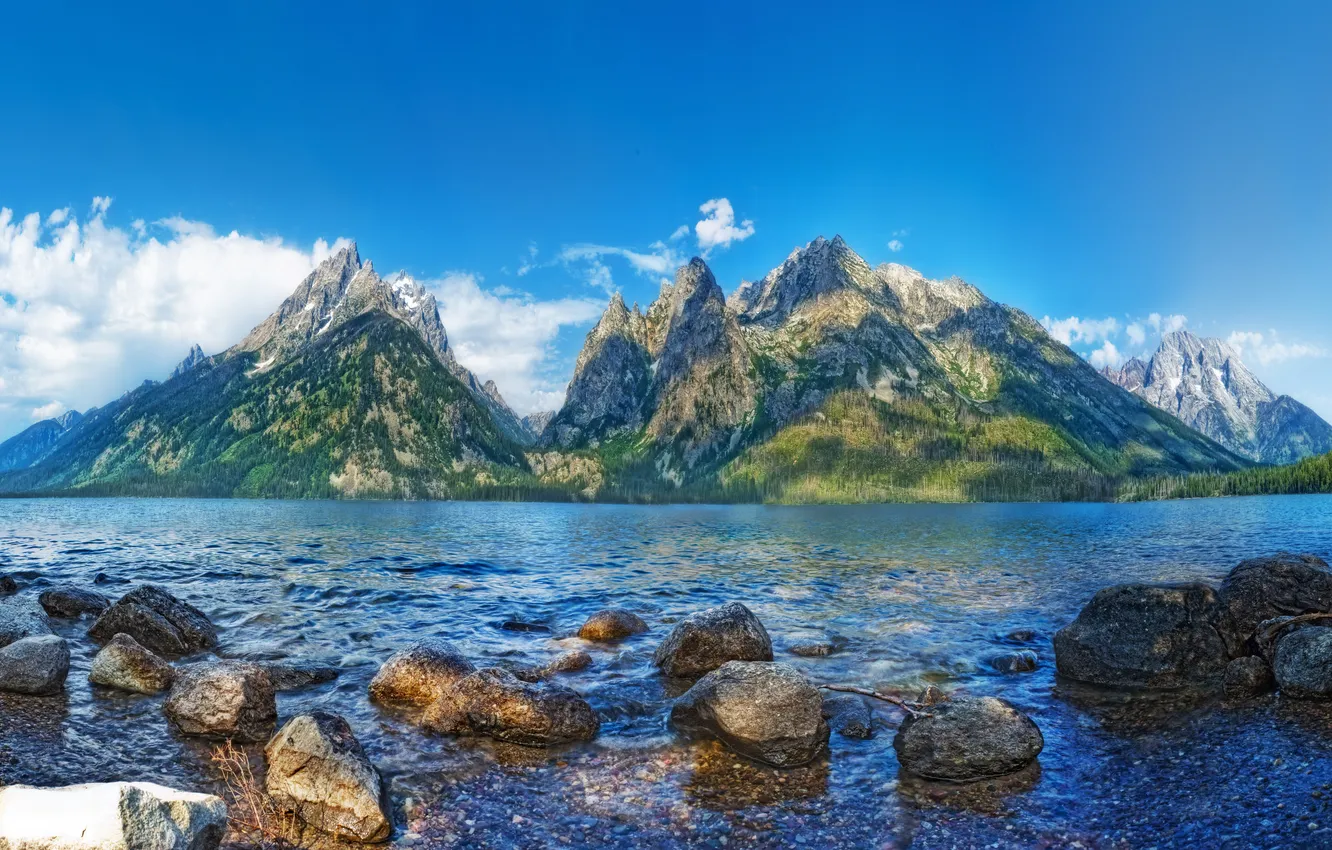 Фото обои лес, горы, озеро, камни, берег, США