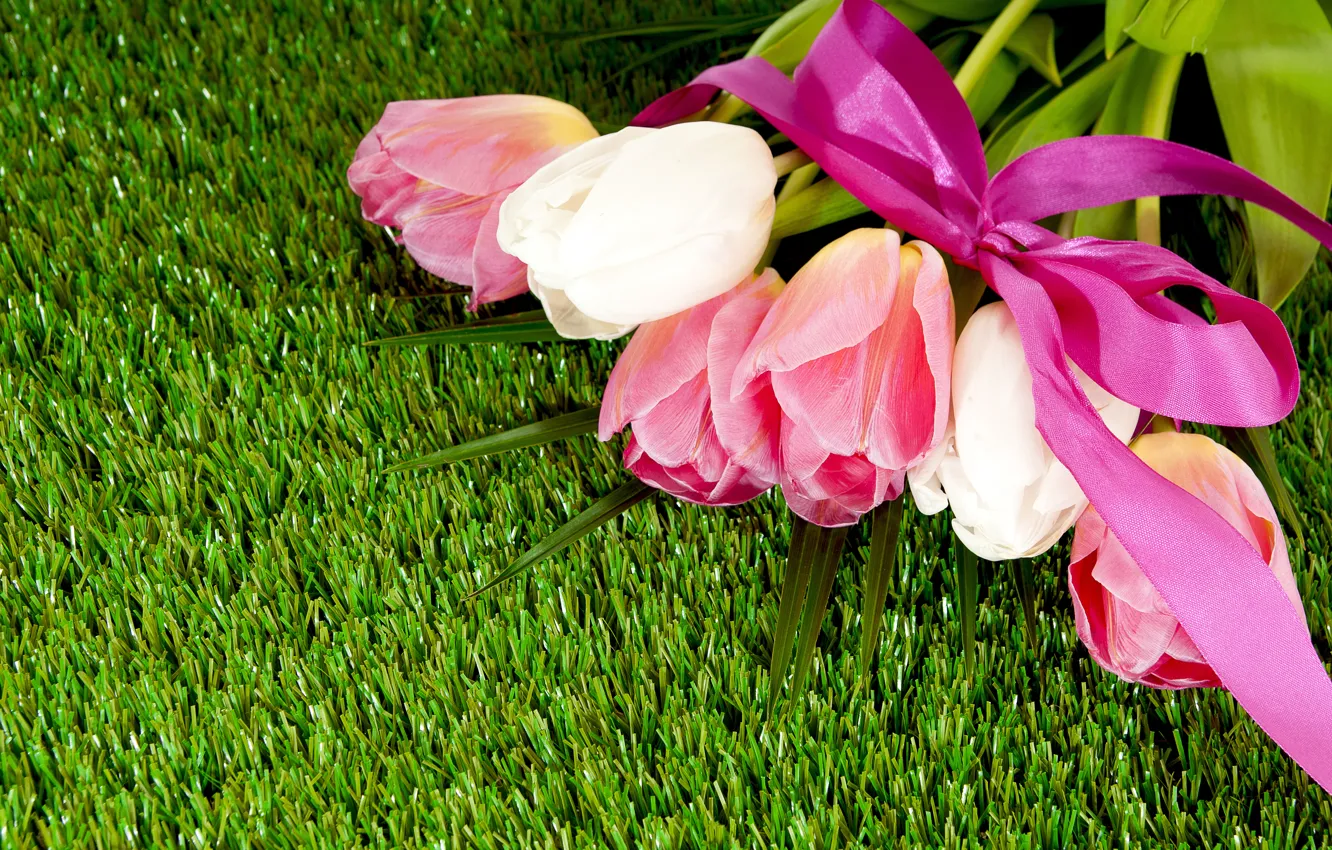 Фото обои трава, газон, букет, лента, тюльпаны, бантик