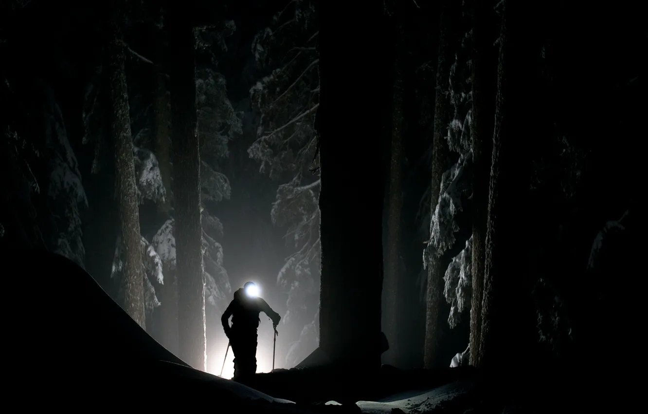 Фото обои зима, лес, свет, тьма, человек, мистика, прожектор