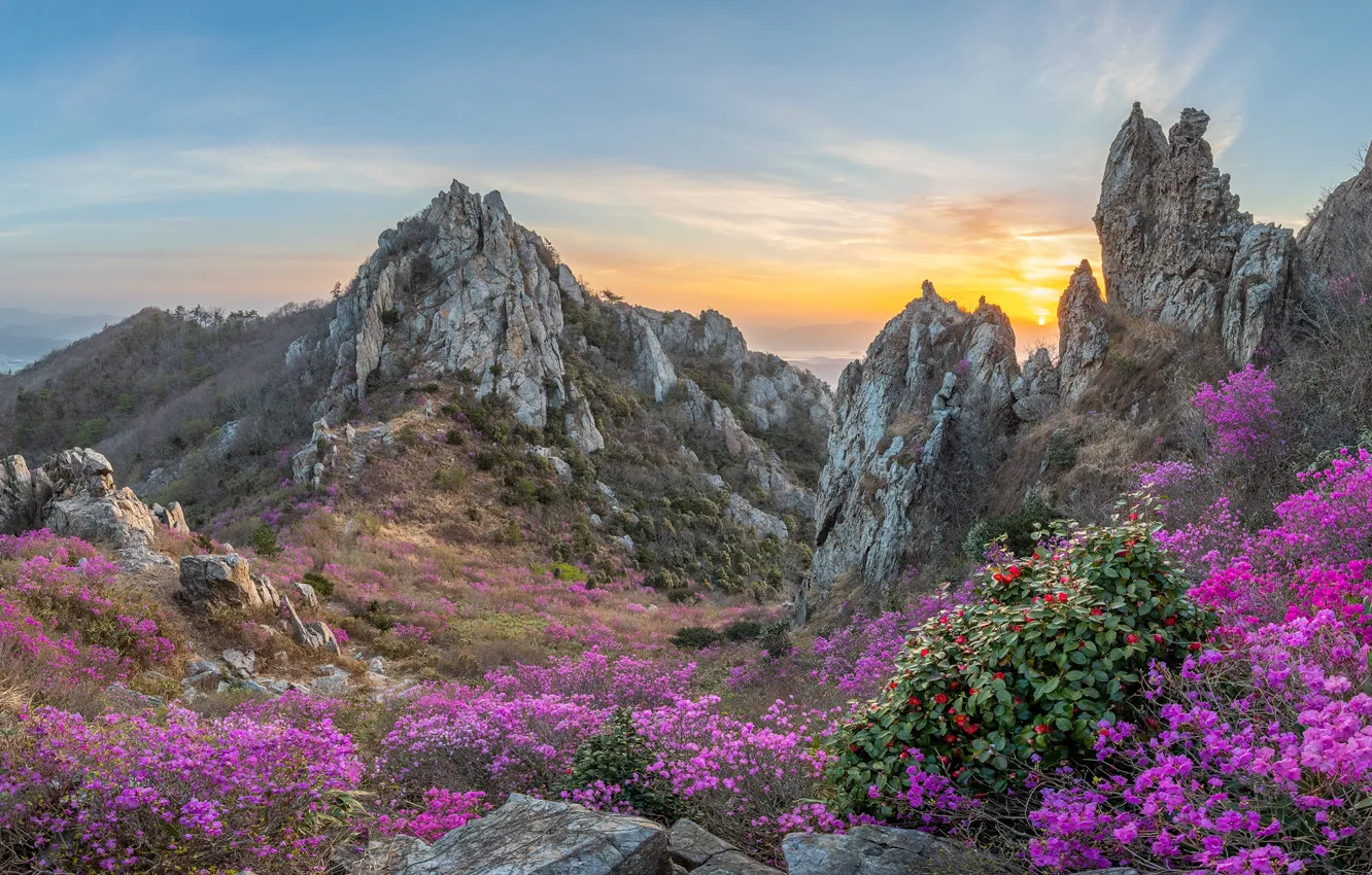 Фото обои пейзаж, горы, природа, камни, весна, цветение, Южная Корея