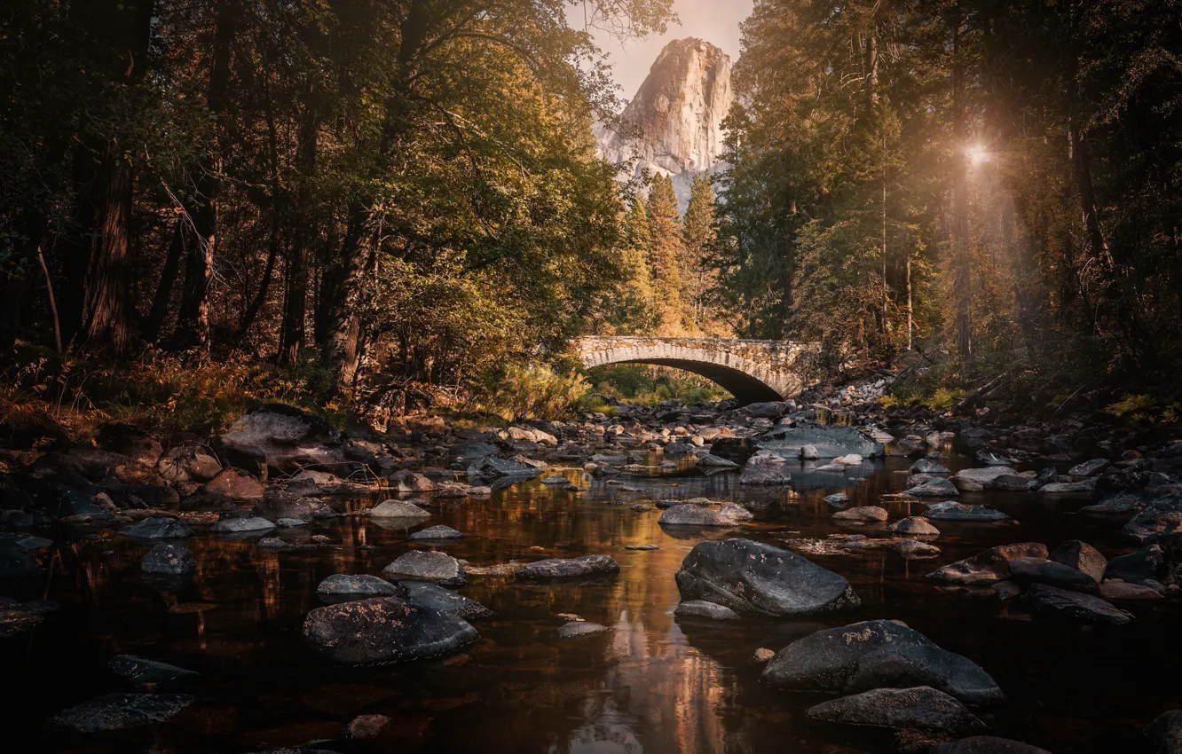 Фото обои лес, солнце, деревья, горы, мост, ручей, камни, скалы