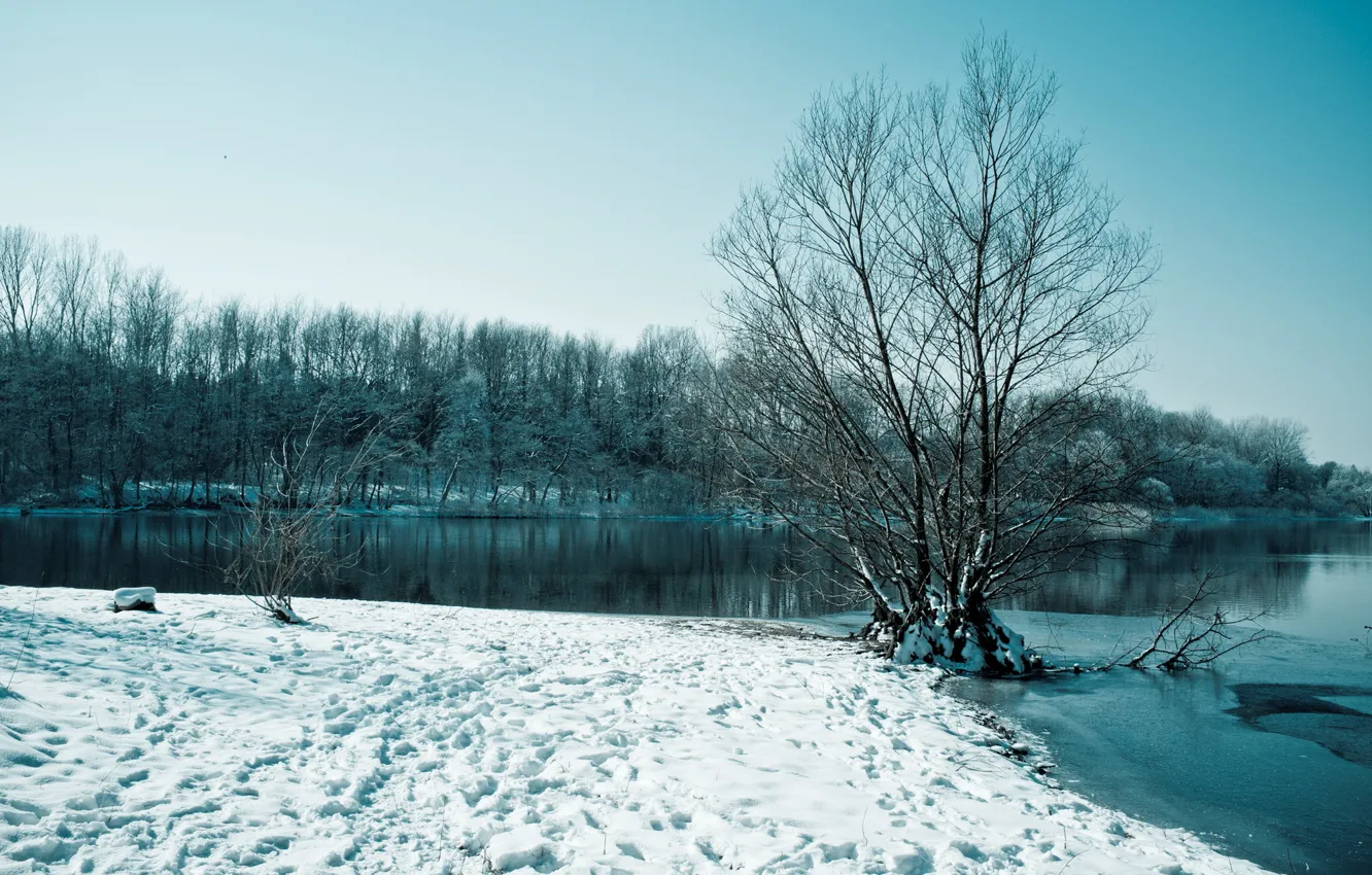 Фото обои зима, снег, деревья, озеро