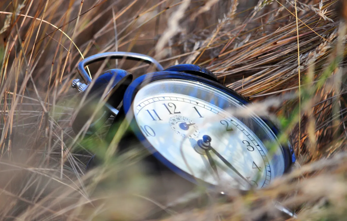 Фото обои трава, время, часы