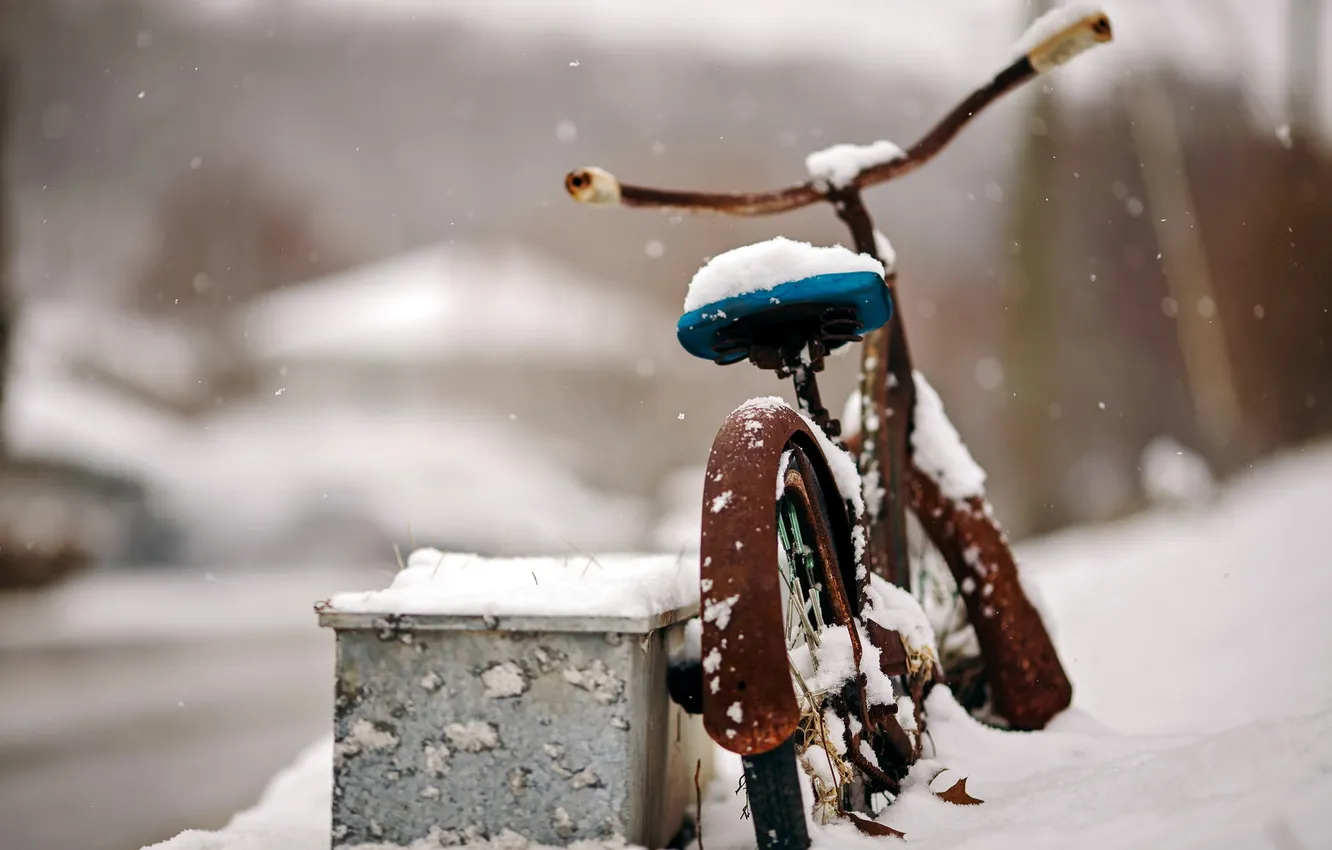 Фото обои снег, велосипед, улица