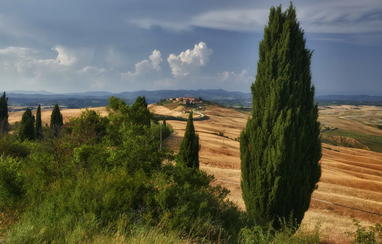 Фото обои дорога, холмы, дома, Италия, Тоскана, кипарис