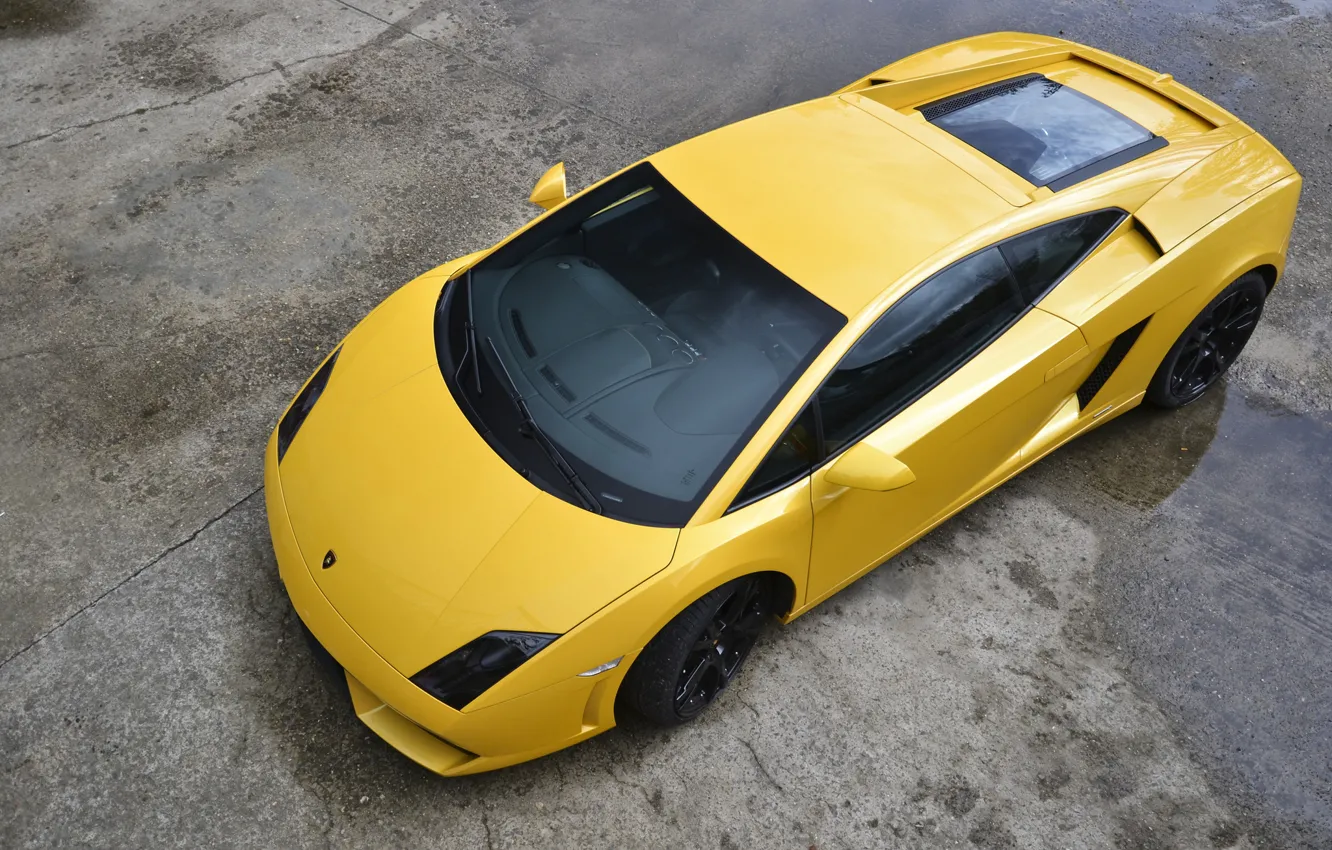 Фото обои желтый, Lamborghini, Gallardo, Yellow, ламборгини, LP560-4