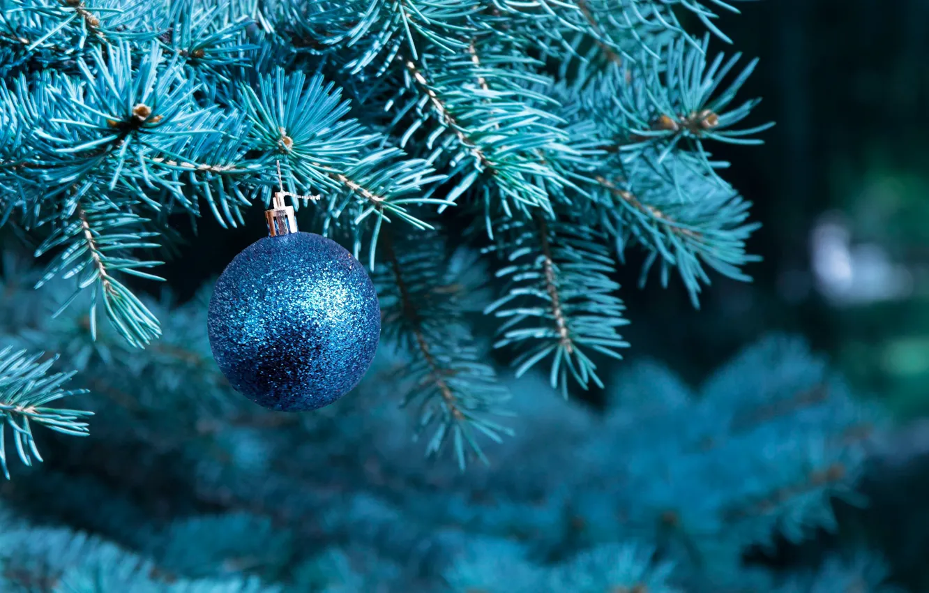 Фото обои ветки, синий, праздник, блеск, шар, ель, шарик, Рождество