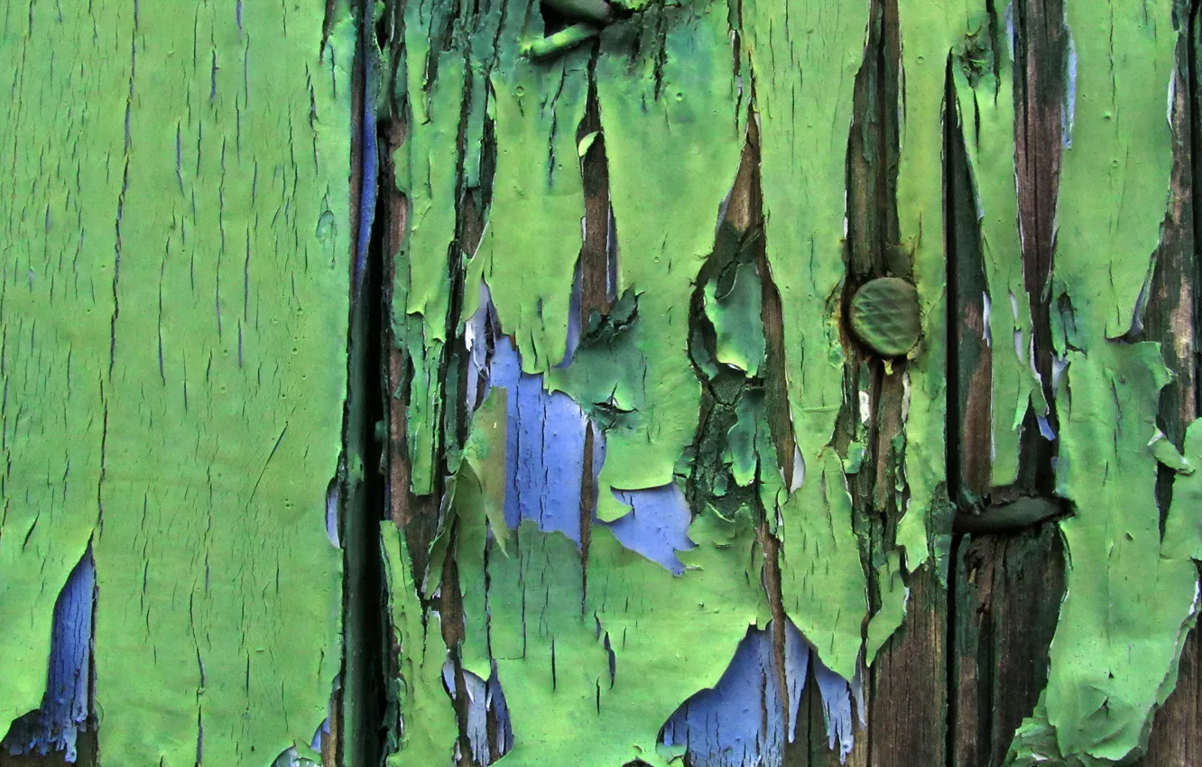 Фото обои стена, краски, текстура