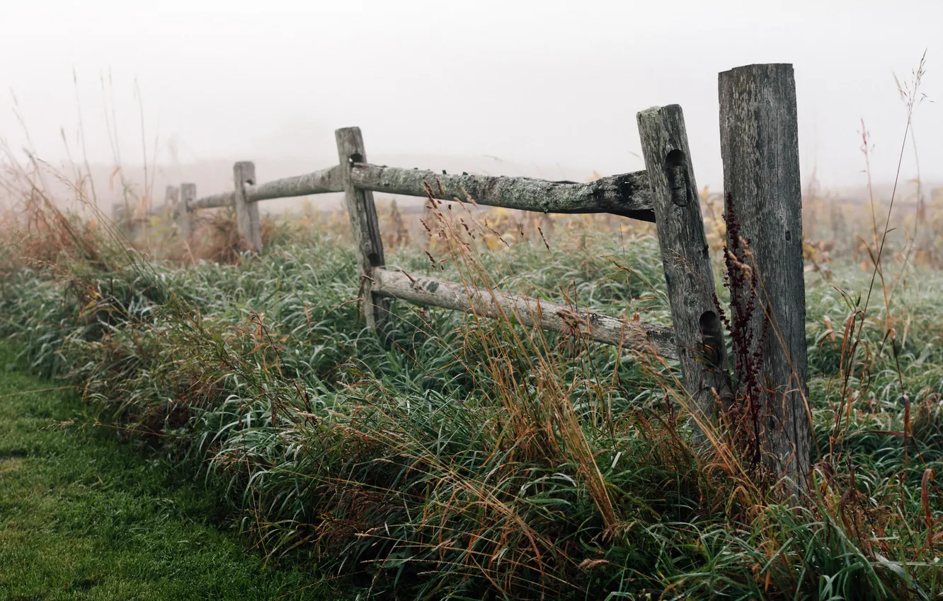 Фото обои природа, туман, забор