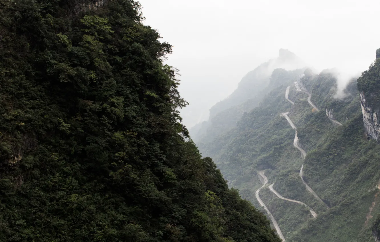 Фото обои дорога, лес, облака, деревья, горы, туман, Китай, серпантин