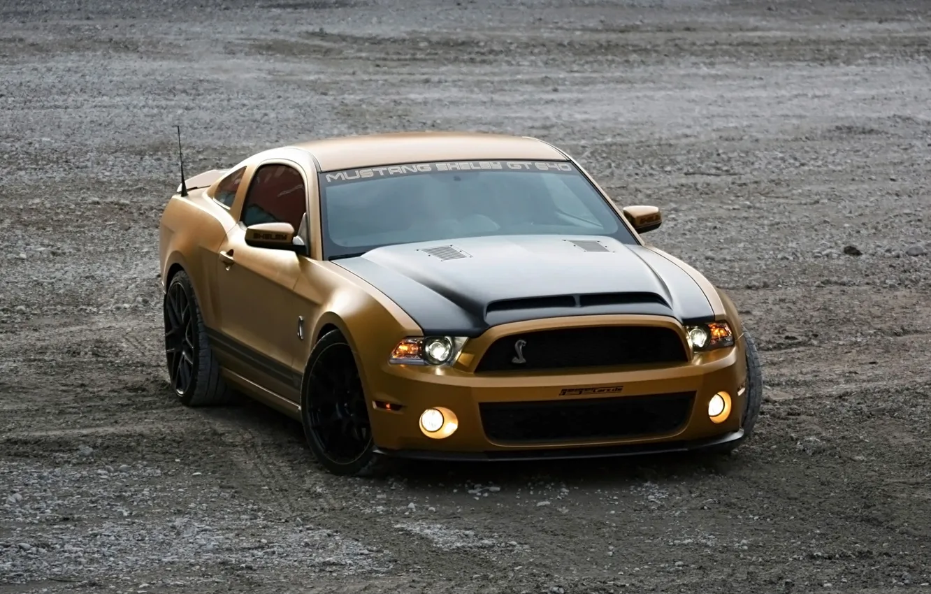 Фото обои Shelby, Ford Mustang, cars, auto, GT640, Золотой Змеи