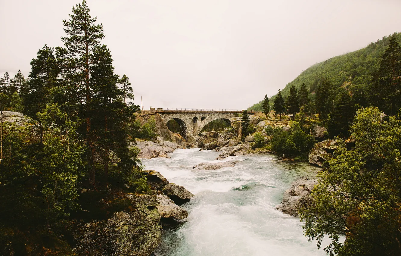 Фото обои river, bridge, fog, hill, stones, pine, rainy