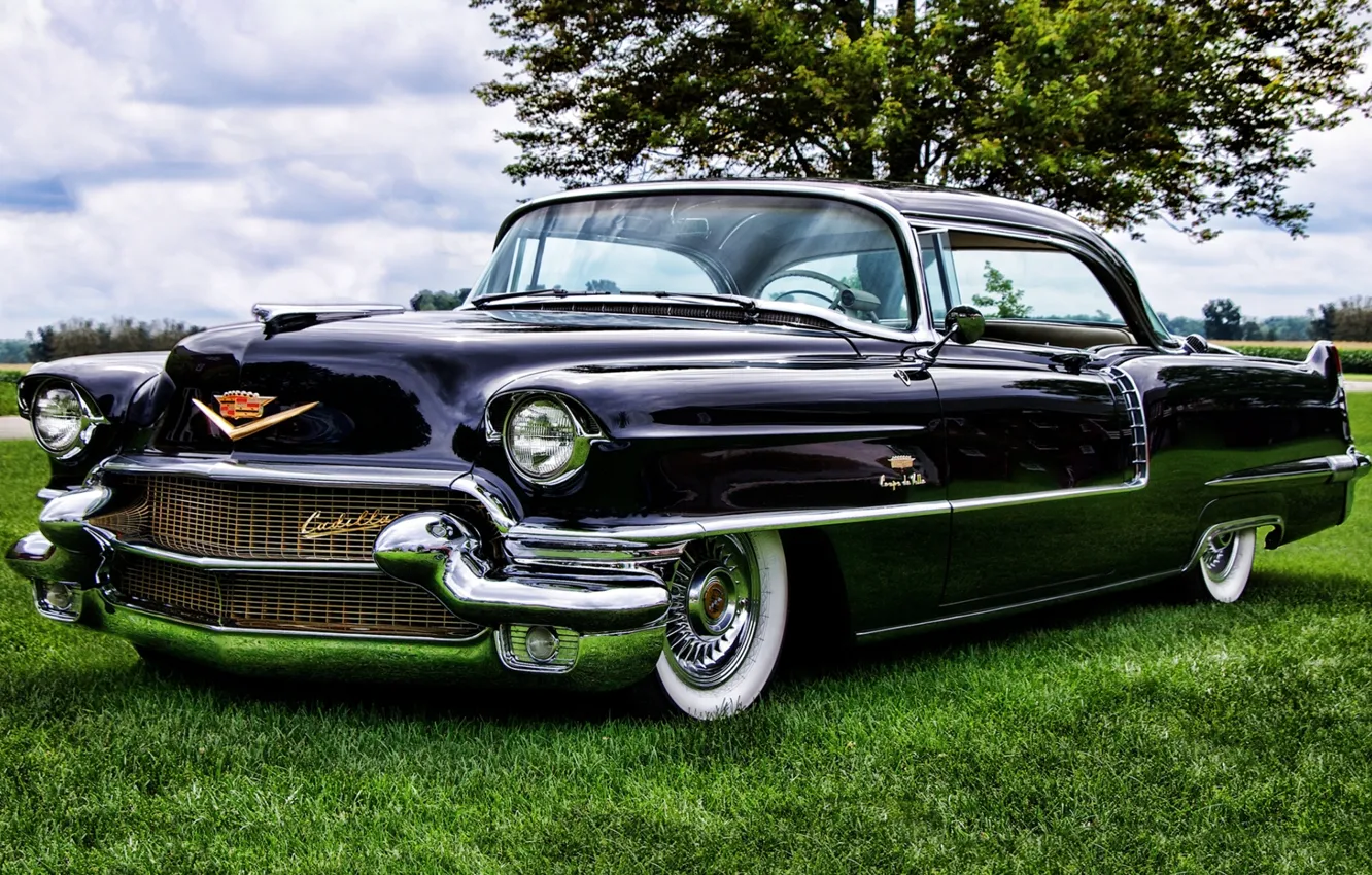 Фото обои небо, дерево, Cadillac, Coupe, передок, кадилак, 1956, Sixty-Two