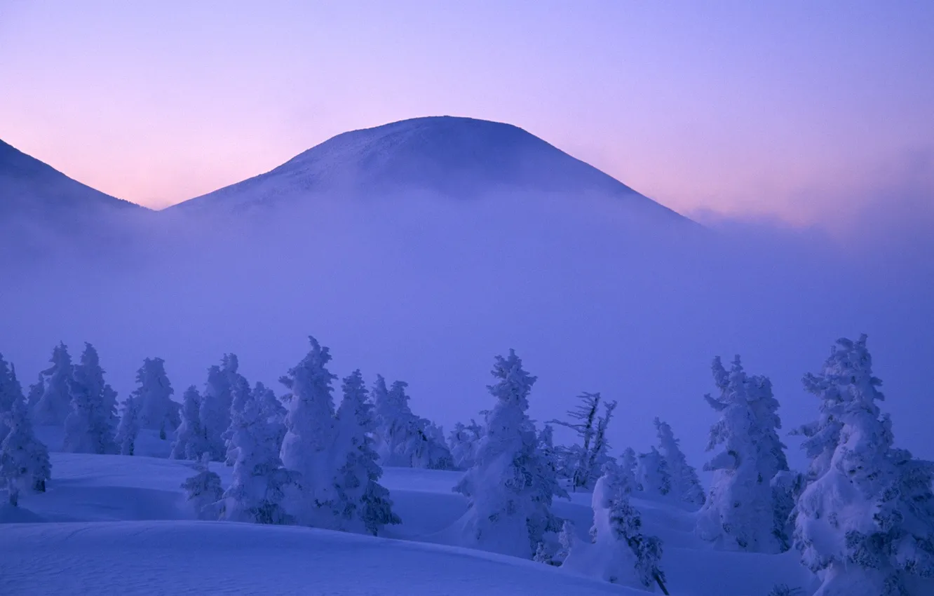 Фото обои зима, облака, снег, деревья, туман, Горы