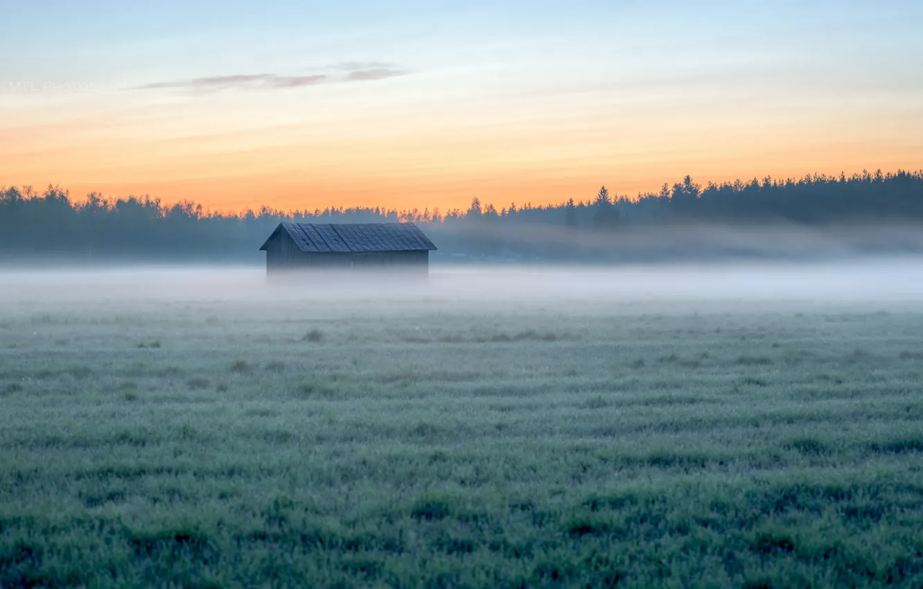 Фото обои поле, туман, дом, утро