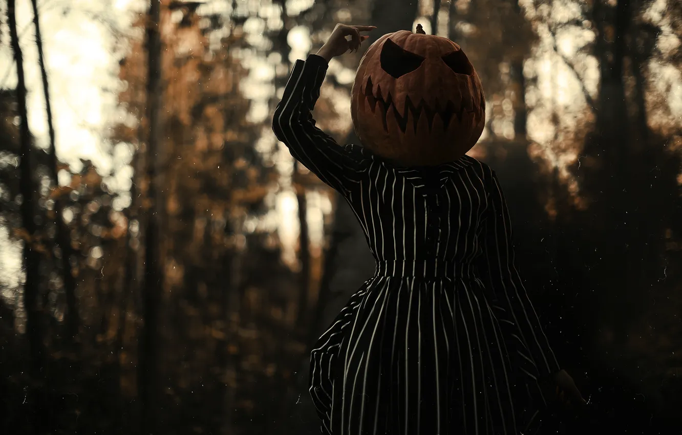 Фото обои осень, лес, девушка, деревья, природа, поза, темный фон, страх