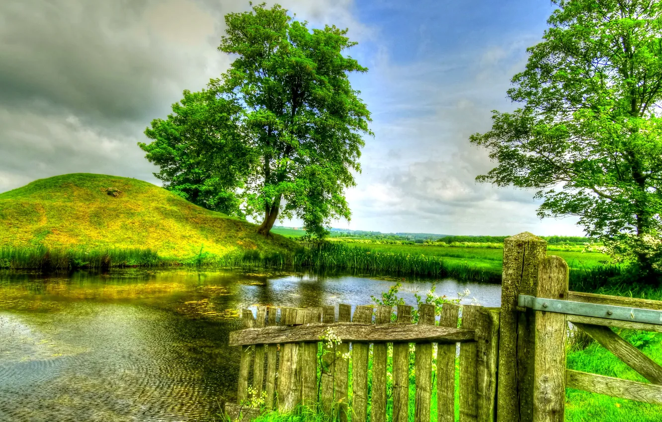 Фото обои зелень, поле, лето, небо, трава, облака, деревья, пруд