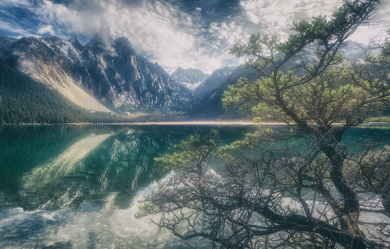 Фото обои горы, озеро, отражение, дерево