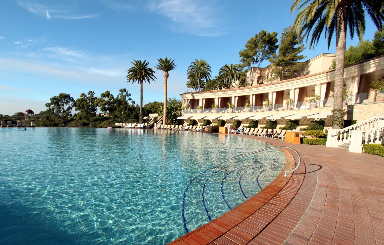 Фото обои пальмы, бассейн, отель, курорт, ареал