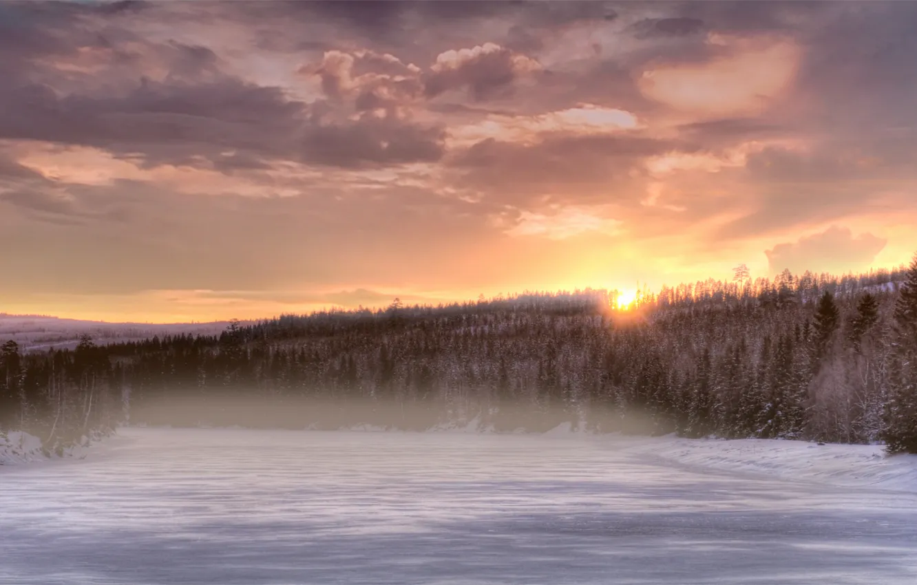 Фото обои зима, лес, небо, солнце, облака, снег, деревья, закат